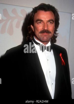 BEVERLY HILLS, Ca - 23. Januar: Schauspieler Tom Selleck besucht die 50. jährliche Golden Globe Awards am 23. Januar 1993 im Beverly Hilton Hotel in Beverly Hills, Kalifornien. Foto von Barry King/Alamy Stock Foto Stockfoto