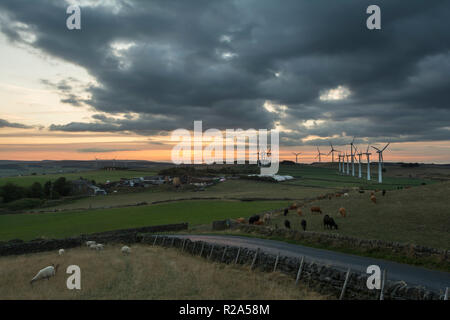 Royd Moor Windpark, nr Millhouse Grün, Barnsley, Großbritannien Stockfoto