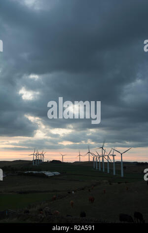 Royd Moor Windpark, nr Millhouse Grün, Barnsley, Großbritannien Stockfoto