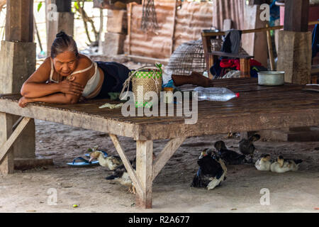 Don Det, Laos - April 24, 2018: Lokale Frau chillen im Schatten von ihrem Garten umgeben von Enten Stockfoto