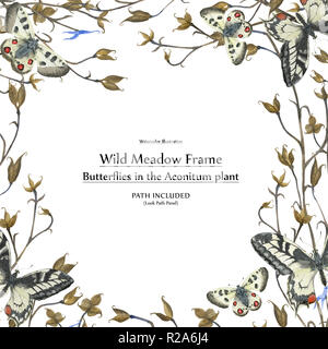 Natur Design von Aquarell. Schmetterlinge und Pflanzen quadratischen Rahmen. Isoliert, Pfad enthalten Stockfoto