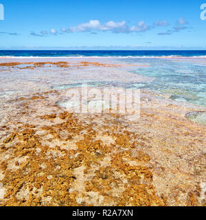 In Polynesien den Felsen der Küste wie Paradies Konzept und Entspannen Stockfoto