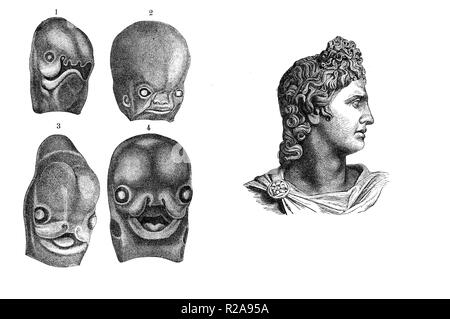 Jahrgang Illustration, menschlichen Fötus Gesicht Entwicklung von 3D zu 3D-Monat, Vergleich mit Apollo Gott klassischen Profil Stockfoto