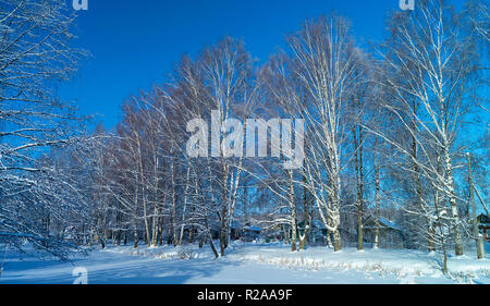 Dorf in Birke im Winter auf Hintergrund blauer Himmel bei Solar Tag Stockfoto