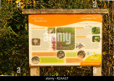 Folly Farm in der Nähe von Bristol, Avon Wildlife Trust die Tier- und Pflanzenwelt und Natur, die im Wald gefunden werden kann. Stockfoto
