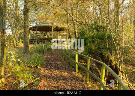 Folly Farm in der Nähe von Bristol, Blick auf Wald Klassenzimmer von der Strecke. Stockfoto