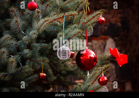 Meistens rot Christbaumschmuck outdoor. Detail einer Outdoor Weihnachtsbaum. Stockfoto