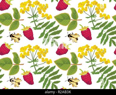 Die nahtlose Vektor Muster mit tanacetum Blumen, Himbeeren und Bienen, transparenter Hintergrund Stock Vektor