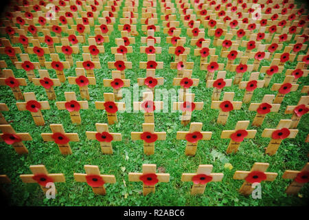 Tag der Erinnerung Bereich der hölzerne Kreuze mit Mohn auf das Gedenken Sonntag, Großbritannien 2018 Stockfoto