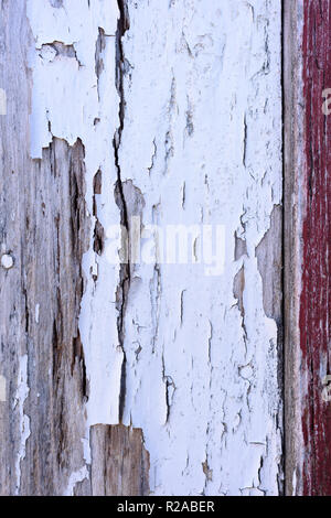 Knisterte weiße Farbe auf Holz- wand. Stockfoto