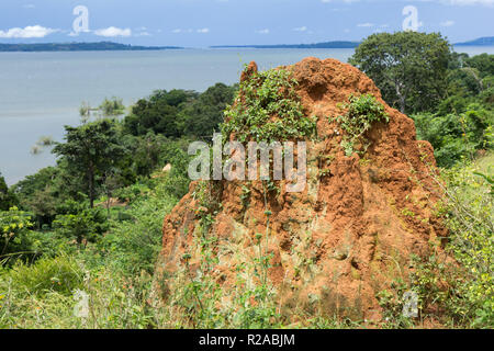 Eine Termite Ant Hill (Hügel) in der Wüste. Lake Victoria ist im Hintergrund. Foto im Busagazi, Uganda am 03. Mai 2017 getroffen. Stockfoto