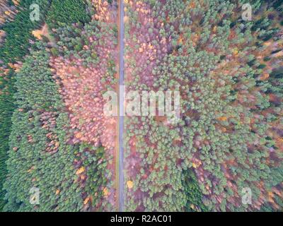 Luftaufnahme von geraden Straße durch den Mischwald im Herbst Farben, Masuren, Polen Stockfoto