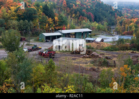 Holzindustrie, Bristol, Vermont, USA. Stockfoto