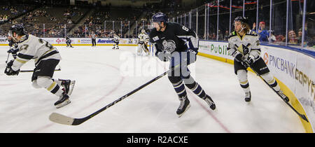 Jacksonville Eisgruben steigt vorwärts Cam Maclise (8) und die drehenden Nägelhersteller defenseman Brien Diffley (26), rechts, während des zweiten Zeitraums von ein echl Professional Hockey Spiel am Veterans Memorial Arena in Jacksonville, Fla., Freitag, 16. November, 2018. (Gary Lloyd McCullough/Cal Sport Media) Stockfoto