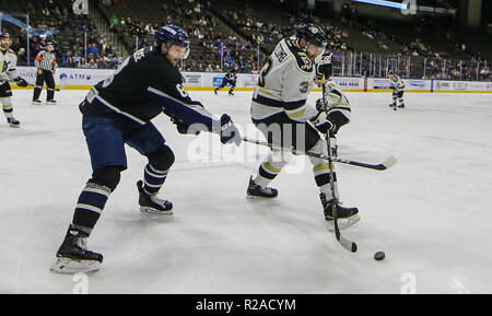 Jacksonville Eisgruben steigt vorwärts Cam Maclise (8) und die drehenden Nägelhersteller defenseman Aaron Titcomb (3) vie für den Puck während der dritten Periode ein echl Professional Hockey Spiel am Veterans Memorial Arena in Jacksonville, Fla., Freitag, 16. November, 2018. (Gary Lloyd McCullough/Cal Sport Media) Stockfoto