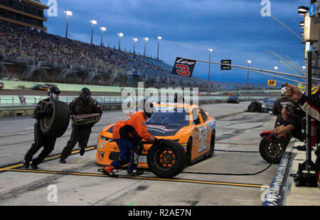 Homestead, Fla, USA. 17. Nov, 2018. David Starr, Fahrer des (52) TBD Chevrolet, Gruben in der NASCAR XFINITY Serie Ford EcoBoost 300 Meisterschaft auf dem Homestead-Miami Speedway in Homestead, Fla. Mario Houben/CSM/Alamy leben Nachrichten Stockfoto