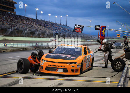 Homestead, Fla, USA. 17. Nov, 2018. David Starr, Fahrer des (52) TBD Chevrolet, Gruben in der NASCAR XFINITY Serie Ford EcoBoost 300 Meisterschaft auf dem Homestead-Miami Speedway in Homestead, Fla. Mario Houben/CSM/Alamy leben Nachrichten Stockfoto