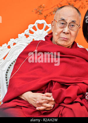 Tokio, Japan. 17. Nov, 2018. Der 14 Dalai Lama besucht einen Talk' - wir sind eine Familie -' im Hibiya Open-Air-Concert Hall in Tokio, Japan, am 17. November 2018. Quelle: Lba Co.Ltd./Alamy leben Nachrichten Stockfoto