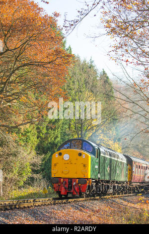 Bewdley, Großbritannien. November 2018. UK Wetter: Bahnpassagiere auf der Severn Valley Railway (Heritage Railway Line zwischen Kidderminster und Bridgnorth) genießen herrliche Herbstsonne, während ihre alte britische Diesellokomotive, 40106 Atlantic Conveyor, hier durch die ländliche, herbstliche Landschaft Worcestershire vorbeifährt. Kredit: Lee Hudson/Alamy Live News Stockfoto