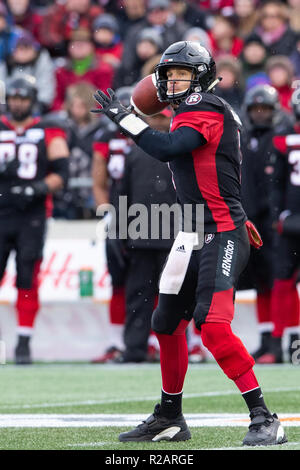 Ottawa, Kanada. 18 Nov, 2018. Ottawa Redblacks quarterback Trevor Harris (7) Sätzen während der CFL-Eastern Division Finale zwischen dem Hamilton Tiger - Katzen und Ottawa Redblacks bei TD Place Stadion in Ottawa, Kanada. Daniel Lea/CSM/Alamy leben Nachrichten Stockfoto