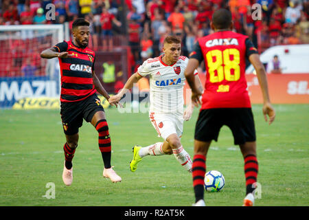 Recife, Brasilien. 18 Nov, 2018. Spiel beim Sport x Flamengo am Sonntag (18.), ein Gleiches gilt für die 35. Runde der brasilianischen Meisterschaft der Serie A 2018, gehalten in Ilha do Retiro, Recife, PE. Credit: Rafael Melo/FotoArena/Alamy leben Nachrichten Stockfoto