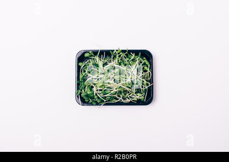 Ansicht von oben, von microgreens. Gekeimte Sonnenblumenkerne mit Sprossen und Blättern auf weißem Hintergrund. Stockfoto