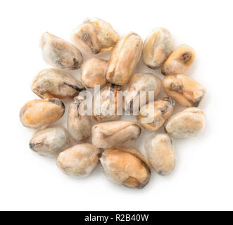 Blick von oben auf die eingefrorenen gekochten Muschel Fleisch isoliert auf weißem Stockfoto