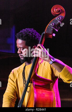 CHRIS SMITH spielt Basis für TIA FULLER'S DIAMOND CUT auf der 61 Monterey Jazz Festival - Monterey, Kalifornien durchführen Stockfoto