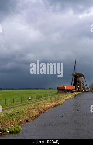 Mühle die Dikke Molen. Stockfoto