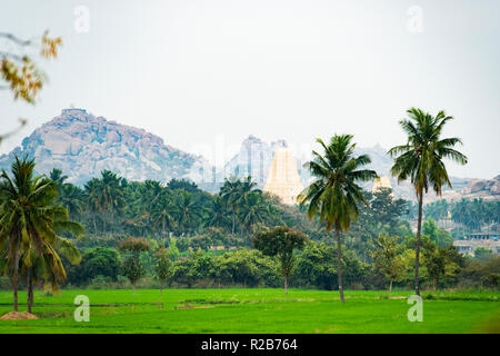 Virupaksha temple durch grüne Reisfelder und schöne Palmen umgeben. Hampi, Karnataka, Indien Stockfoto