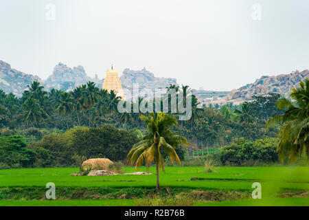 Virupaksha temple durch grüne Reisfelder und schöne Palmen umgeben. Hampi, Karnataka, Indien Stockfoto