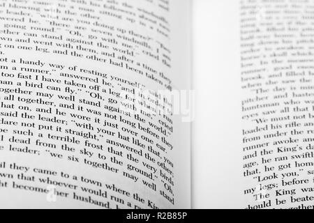 Ein Buch mit englischen Wörtern liegt geöffnet, in Portionen von zwei Seiten mit flachen konzentrieren und Tiefenschärfe. Stockfoto