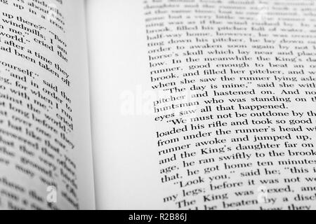 Ein Buch mit englischen Wörtern liegt geöffnet, in Portionen von zwei Seiten mit flachen konzentrieren und Tiefenschärfe. Stockfoto