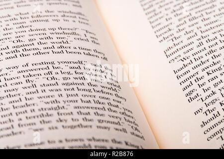 Ein Buch mit englischen Wörtern liegt geöffnet, in Portionen von zwei Seiten mit flachen konzentrieren und Tiefenschärfe. Stockfoto