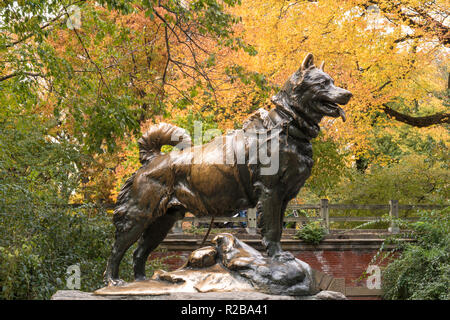 Central Park ist eine öffentliche Oase in New York City, USA Stockfoto