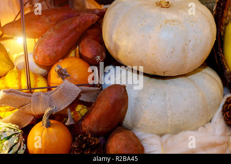 Saisonale Früchte und Gemüse Kürbisse in verschiedenen Farben Thanksgiving Tag Konzept Stockfoto