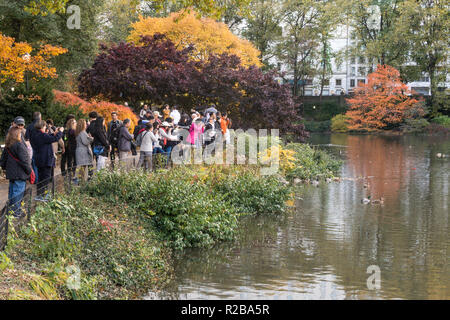 Central Park ist eine öffentliche Oase in New York City, USA Stockfoto