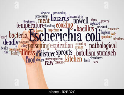 Escherichia coli Wort cloud und Hand mit Marker Konzept auf weißem Hintergrund. Stockfoto