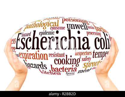 Escherichia coli, word Cloud Hand Kugel Konzept auf weißem Hintergrund. Stockfoto