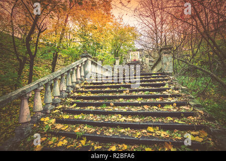 Alte Treppe mit Laub im Park im Herbst abgedeckt Stockfoto
