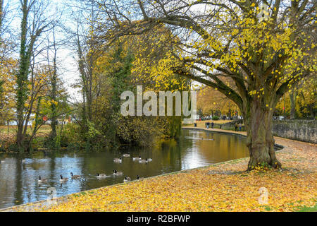 Themse, Windsor, England - NOVEMBER 2018: Malerische Aussicht auf ein Wasser Kanal auf der Themse in der Nähe von Windsor, mit Gänsen im Vordergrund. Stockfoto