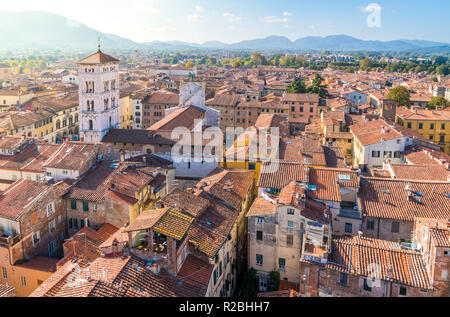 Panoramablick in Lucca mit San Michele al Foro Kirche. Toskana, Italien. Stockfoto