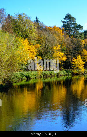 Reflexionen auf dem Fluss Trent, aus Essex Brücke in Great Haywood, Staffordshire, Großbritannien. Stockfoto