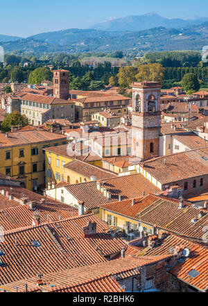 Panoramablick in Lucca mit Kirche San Salvatore und Santa Maria Corteorlandini Kirche. Toskana, Italien. Stockfoto