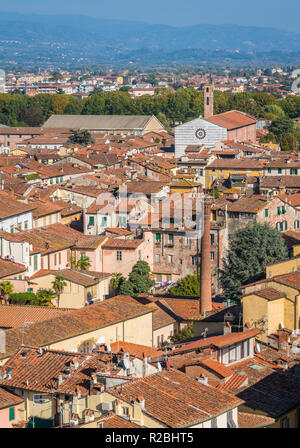 Panoramischer Anblick in Lucca mit San Francesco Kirche. Toskana, Italien. Stockfoto