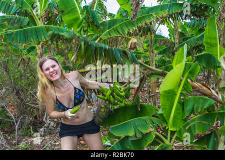 Junge lächelnde Mädchen im Bikini stiehlt grüner Banane von der Palme. Bananenplantage in Samana, Dominikanische Republik Stockfoto