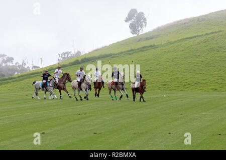 Waikii, Hawaii - der Mauna Kea Polo Club spielt Polo Sonntag nachmittags auf den Pisten des ruhenden Vulkan Mauna Kea. Stockfoto