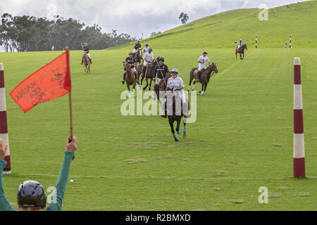 Waikii, Hawaii - der Mauna Kea Polo Club spielt Polo Sonntag nachmittags auf den Pisten des ruhenden Vulkan Mauna Kea. Ein Ziel Richter Wellen ein Flag, das si Stockfoto