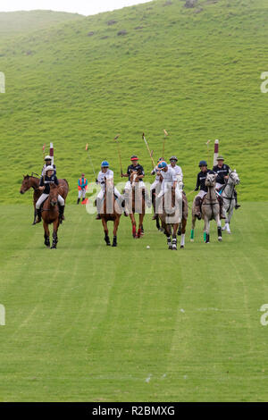 Waikii, Hawaii - der Mauna Kea Polo Club spielt Polo Sonntag nachmittags auf den Pisten des ruhenden Vulkan Mauna Kea. Stockfoto