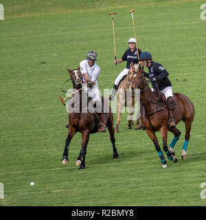 Waikii, Hawaii - der Mauna Kea Polo Club spielt Polo Sonntag nachmittags auf den Pisten des ruhenden Vulkan Mauna Kea. Stockfoto